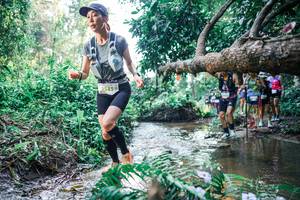 BIB: 
                            <button type="button" onclick="openModal(25448839)" class="btn btn-primary btn-sm float-right btn-popup" data-toggle="modal" data-target=".modal-high-quality">
                        <i class="fas fa-shopping-cart"></i> Add to Cart
                    </button>
                                            <button type="button" onclick="isThisMe(25448839, true)" class="btn btn-success btn-sm float-right btn-popup btn-isme hidden" data-toggle="tooltip" data-placement="bottom" title="นี่คือรูปของคุณใช่ไหม คลิกที่นี่เพื่อเอาเข้าอัลบั้ม">
                        <i class="fas fa-plus"></i> Add to album
                    </button>
                    <button type="button" onclick="isThisMe(25448839, false)" class="btn btn-warning btn-sm float-right btn-popup btn-isnotme hidden">
                        <i class="fas fa-ban"></i> Remove from album
                    </button>